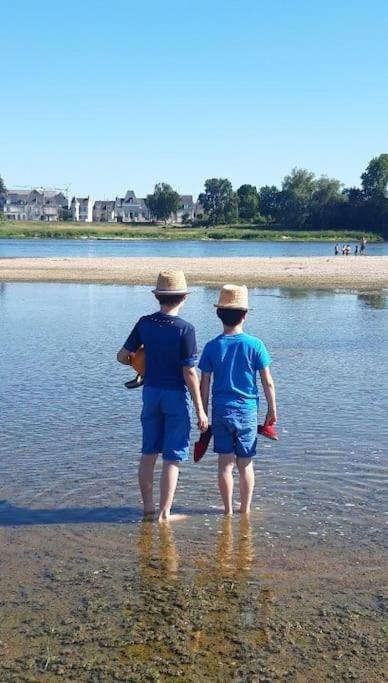 Hébergement de vacances Entre Loire Et Vignes Juigne-sur-Loire